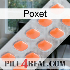 Poxet 26